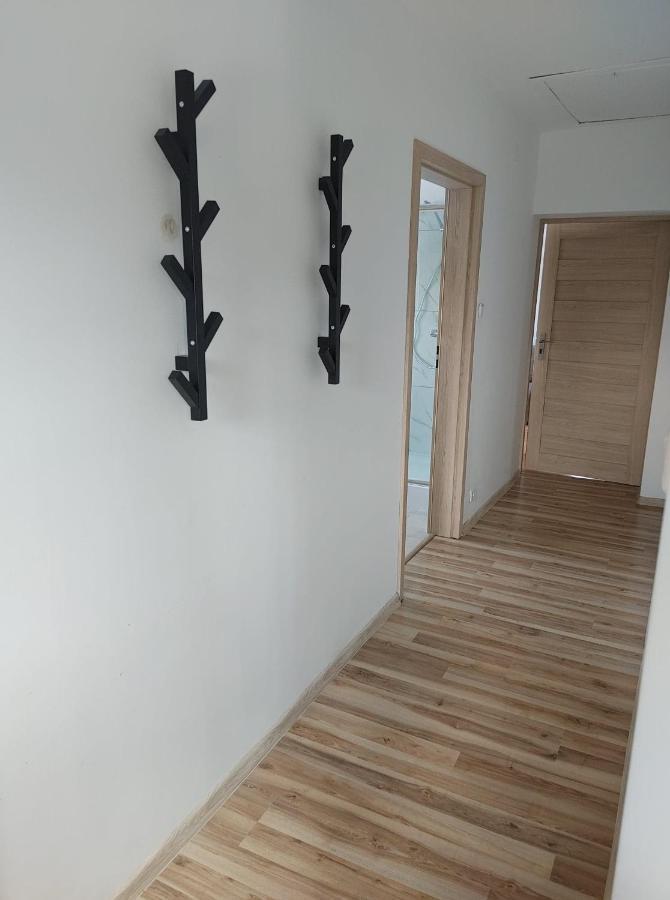 Noclegi Przy Browarnej Zyrardow Exterior photo